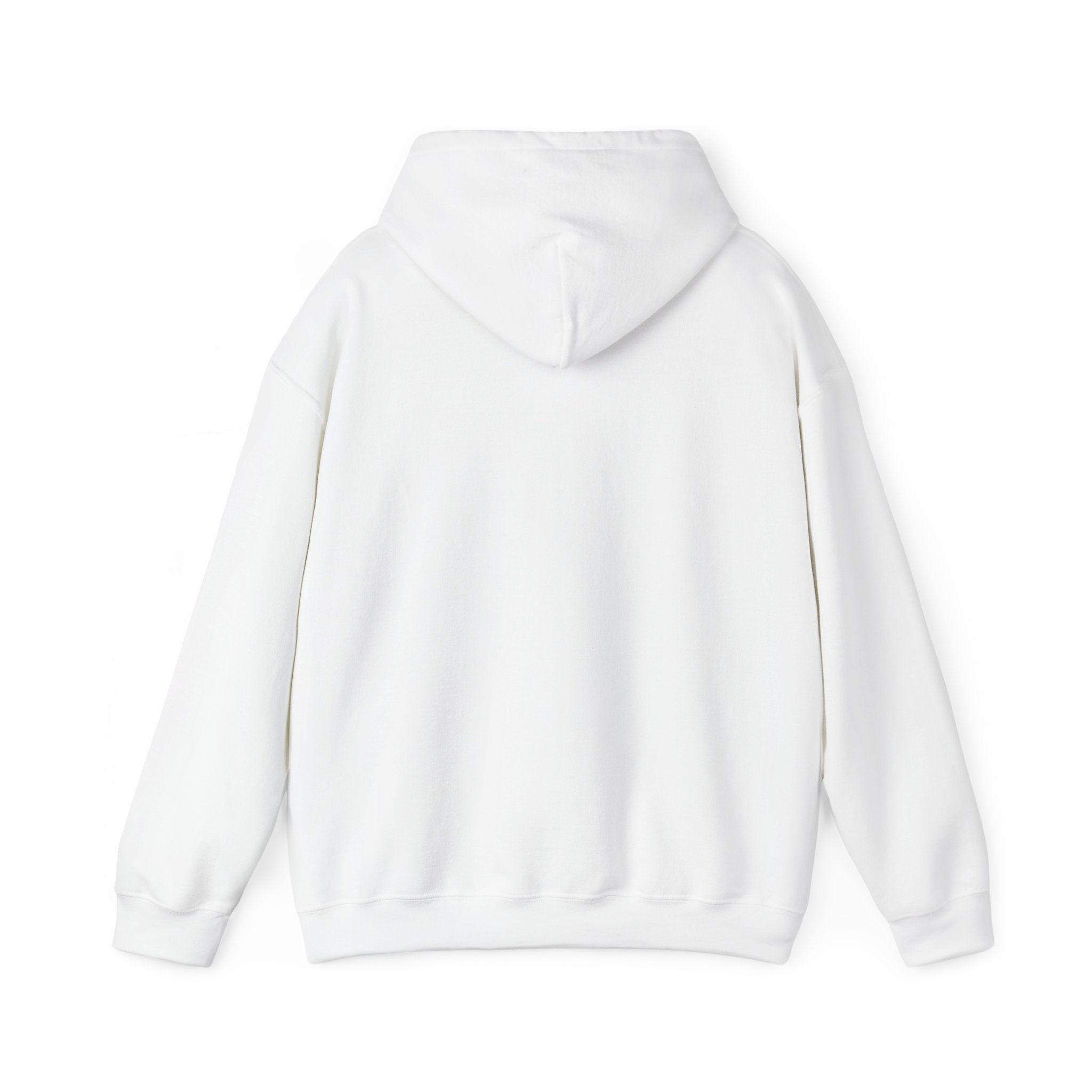 Sudadera B-01
