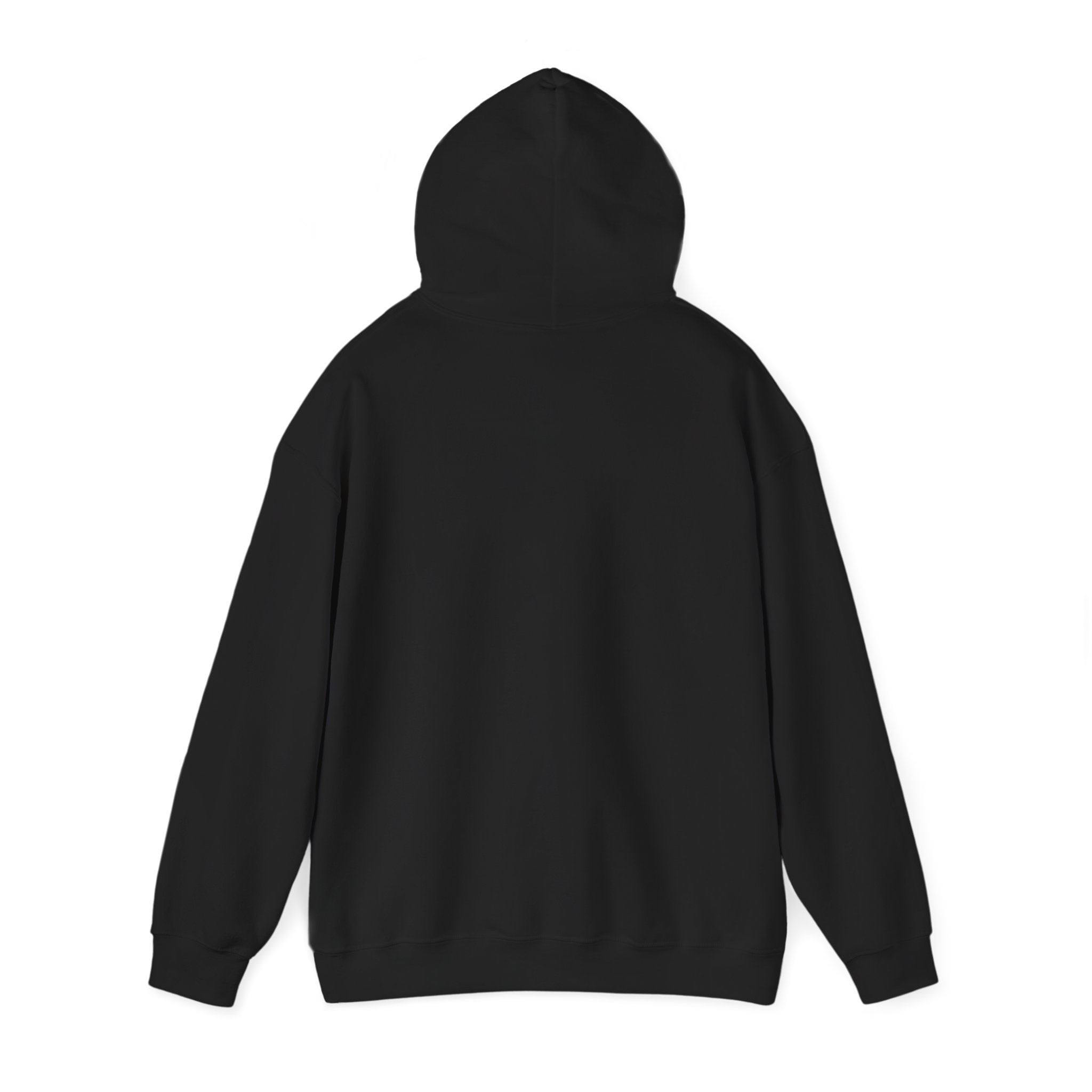 Sudadera V-01
