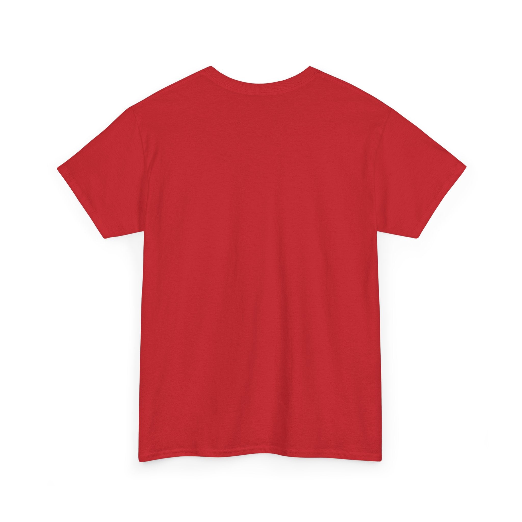 Camiseta F-01